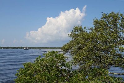 Manatee River Watershed